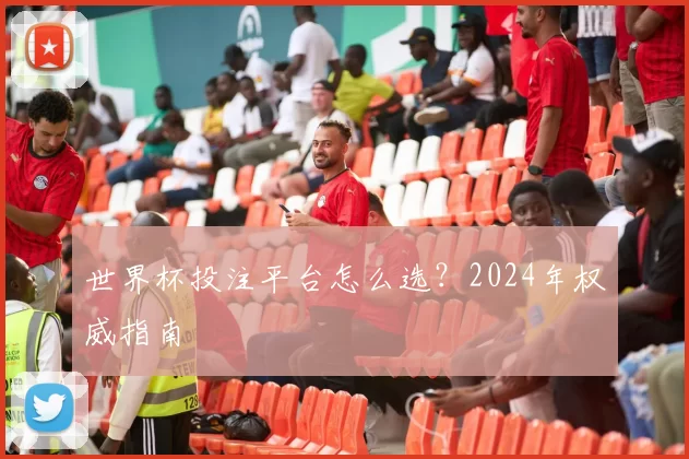 世界杯投注平台怎么选?2024年权威指南