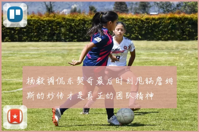 杨毅调侃东契奇最后时刻甩锅詹姆斯的妙传才是真正的团队精神