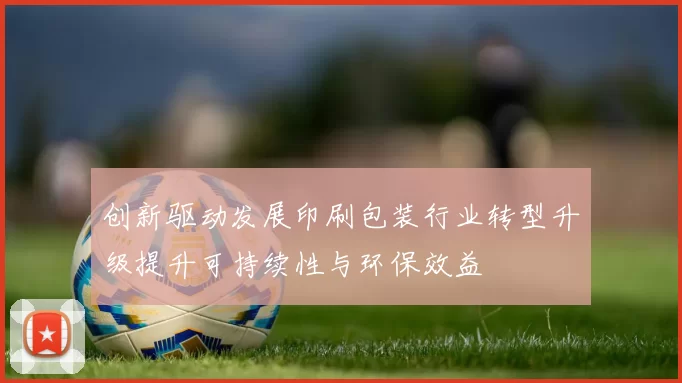 创新驱动发展印刷包装行业转型升级提升可持续性与环保效益