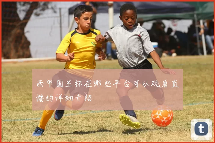 西甲国王杯在哪些平台可以观看直播的详细介绍
