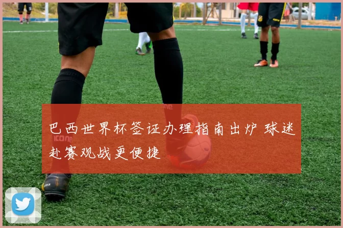 巴西世界杯签证办理指南出炉 球迷赴赛观战更便捷