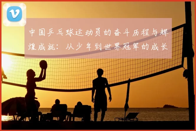 中国乒乓球运动员的奋斗历程与辉煌成就:从少年到世界冠军的成长之路