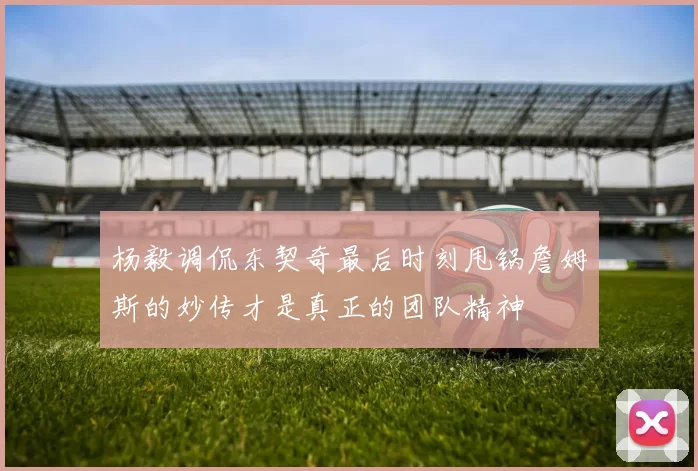 杨毅调侃东契奇最后时刻甩锅詹姆斯的妙传才是真正的团队精神