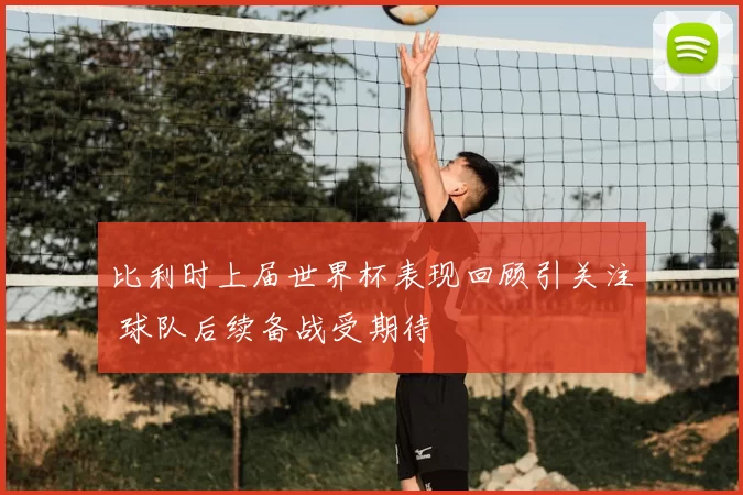 比利时上届世界杯表现回顾引关注 球队后续备战受期待