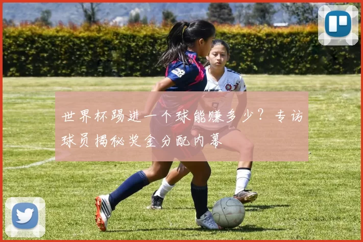 世界杯踢进一个球能赚多少？专访球员揭秘奖金分配内幕