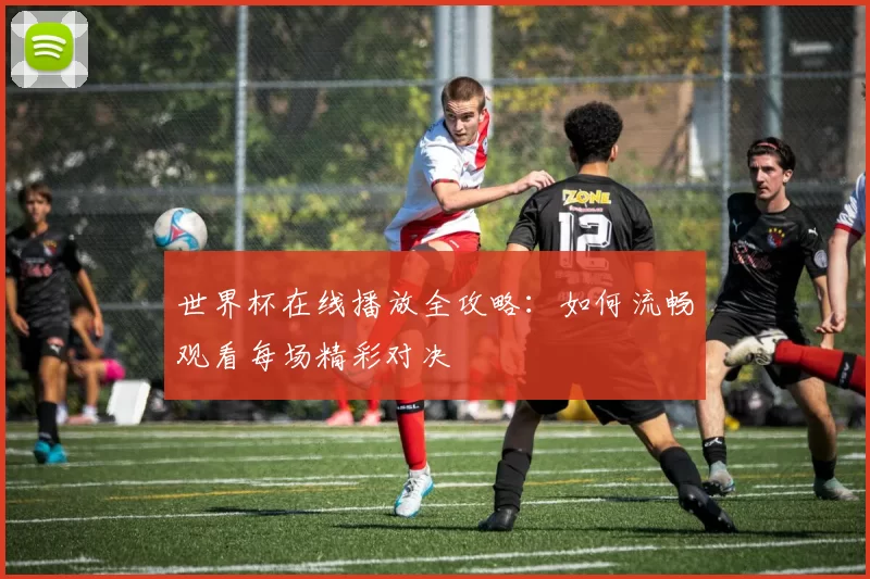 世界杯在线播放全攻略：如何流畅观看每场精彩对决