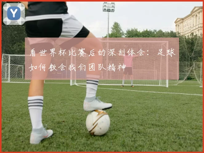 看世界杯比赛后的深刻体会:足球如何教会我们团队精神