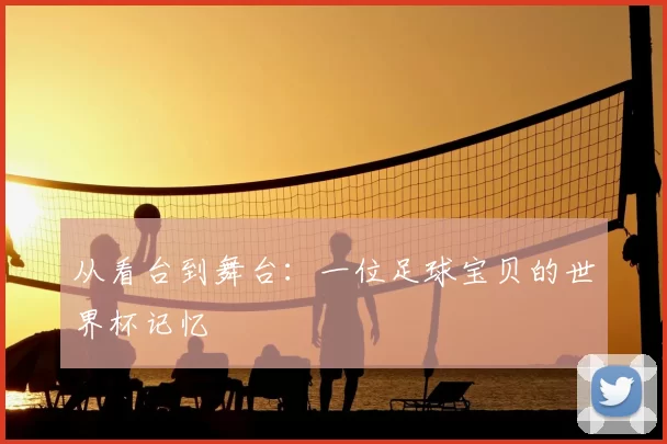 从看台到舞台:一位足球宝贝的世界杯记忆