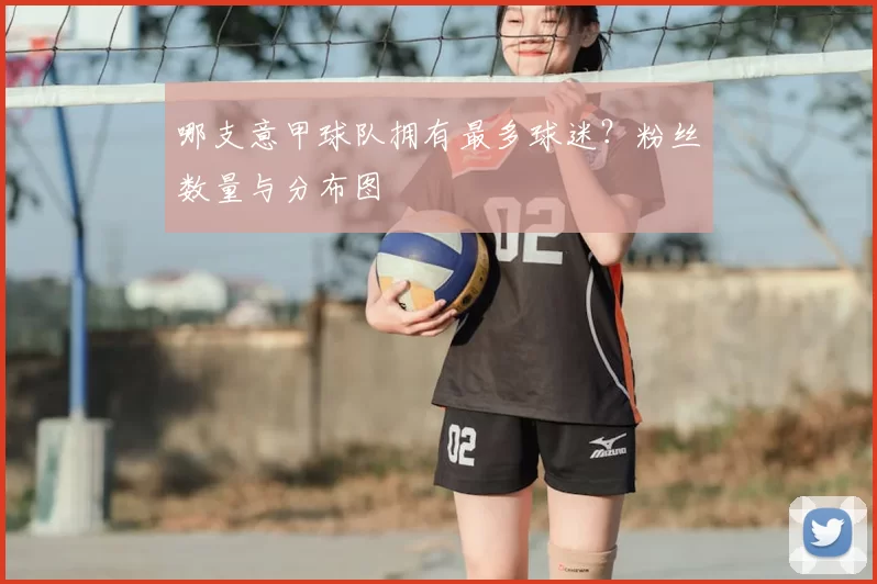 哪支意甲球队拥有最多球迷？粉丝数量与分布图