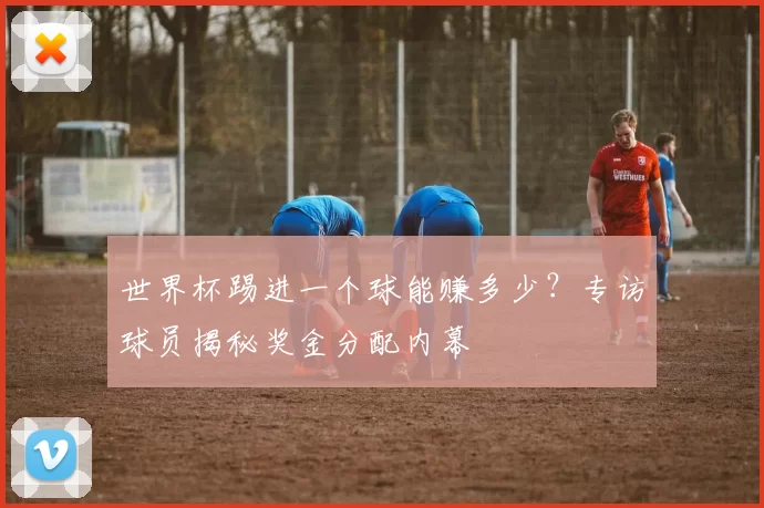 世界杯踢进一个球能赚多少？专访球员揭秘奖金分配内幕