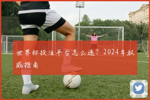 世界杯投注平台怎么选？2024年权威指南