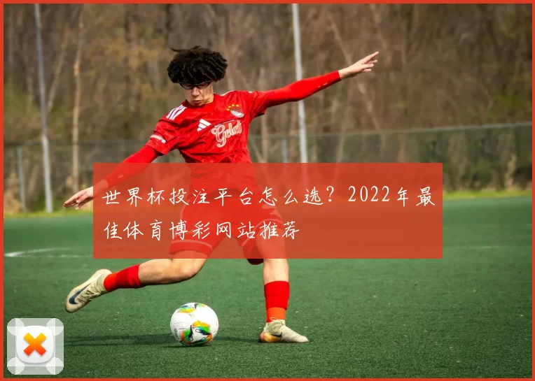 世界杯投注平台怎么选?2022年最佳体育博彩网站推荐