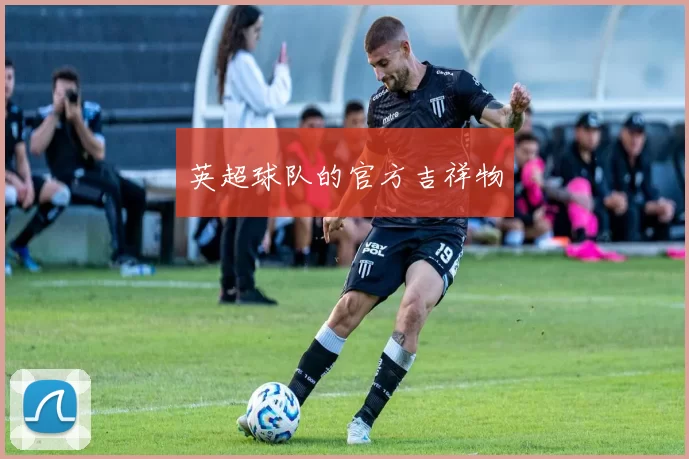 英超球队的官方吉祥物