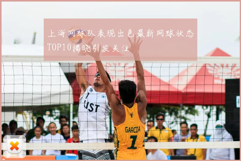 上海网球队表现出色最新网球状态TOP10揭晓引发关注