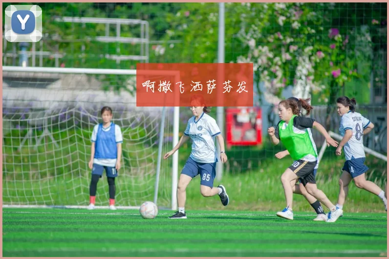 法甲联赛规则解析及其对比赛公平性的保障