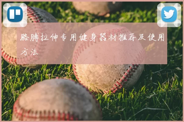 胳膊拉伸专用健身器材推荐及使用方法